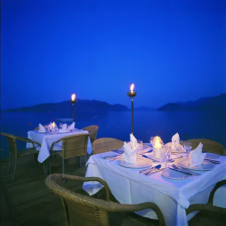 Elegance International