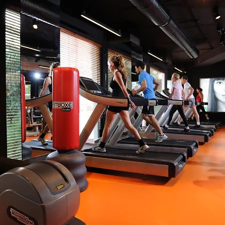 Elegance International