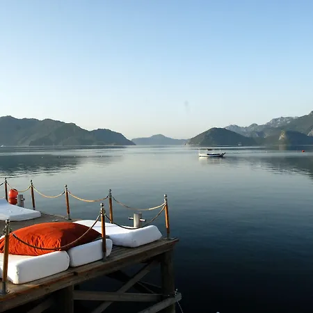 Elegance International Hotell 5*